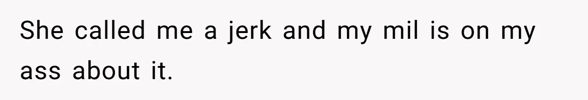 Bride Threatens to Boot Sister-In-Law Who Complained About A Free Bridesmaid Dress She called me a jerk and my mil is on my ass about it.