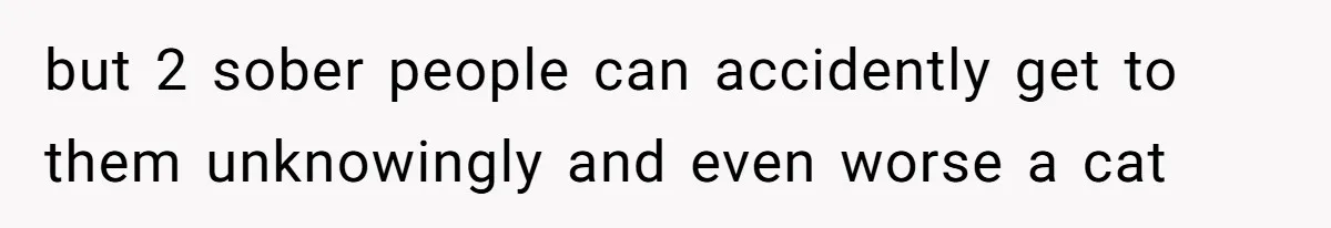 but 2 sober people can accidently get to them unknowingly and even worse a cat