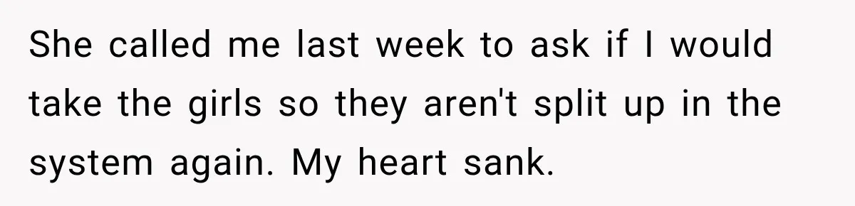 She called me last week to ask if I would take the girls so they aren't split up in the system again. My heart sank.