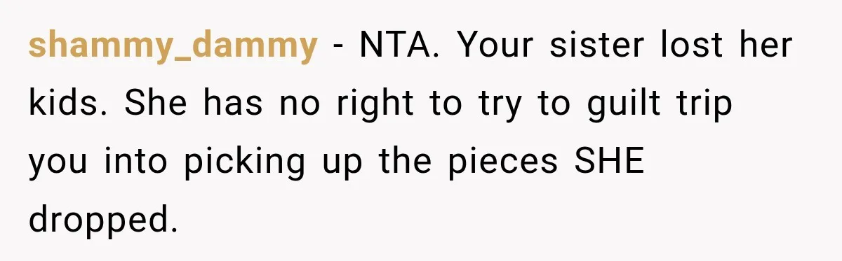 shammy_dammy − NTA. Your sister lost her kids. She has no right to try to guilt trip you into picking up the pieces SHE dropped.