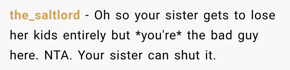the_saltlord − Oh so your sister gets to lose her kids entirely but *you're* the bad guy here. NTA. Your sister can shut it.