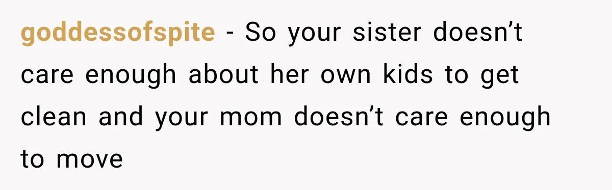 goddessofspite − So your sister doesn’t care enough about her own kids to get clean and your mom doesn’t care enough to move
