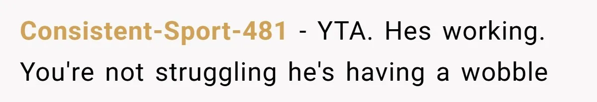 Consistent-Sport-481 − YTA. Hes working. You're not struggling he's having a wobble