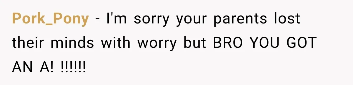 Pork_Pony − I'm sorry your parents lost their minds with worry but BRO YOU GOT AN A! !!!!!!