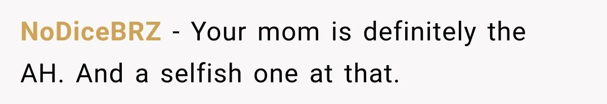 NoDiceBRZ − Your mom is definitely the AH. And a selfish one at that.