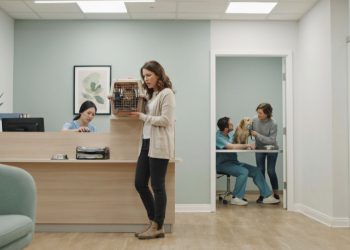 Vet Receptionist Blames the Doctor for Every Mistake, Now One Cat Owner Wants the Truth to Come Out Vet Receptionist Blames the Doctor for Every Mistake, Now One Cat Owner Wants the Truth to Come Out