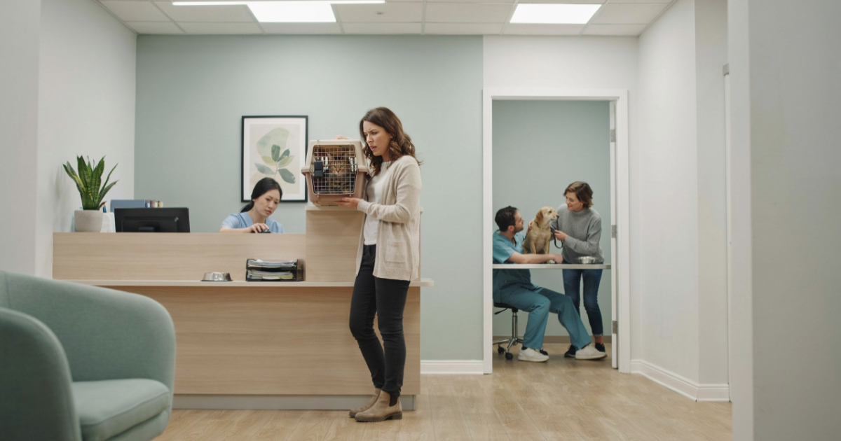 Vet Receptionist Blames the Doctor for Every Mistake, Now One Cat Owner Wants the Truth to Come Out Vet Receptionist Blames the Doctor for Every Mistake, Now One Cat Owner Wants the Truth to Come Out