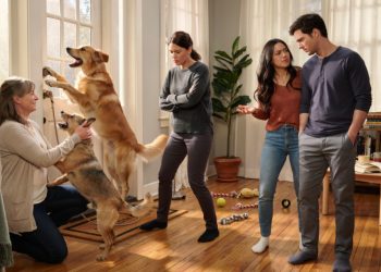 Mother-in-Law Keeps Ignoring the Only House Rule, Then Acts Like the Victim When Her Son-in-Law Finally Snaps