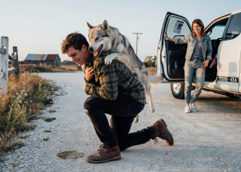Her Husky Disappeared, Police Couldn’t Help, So This Owner Went Full Investigation Mode