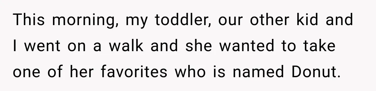 This morning, my toddler, our other kid and I went on a walk and she wanted to take one of her favorites who is named Donut.