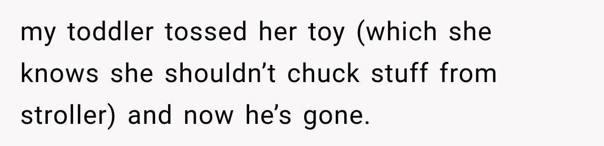 my toddler tossed her toy (which she knows she shouldn’t chuck stuff from stroller) and now he’s gone.