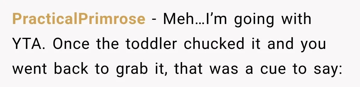 PracticalPrimrose − Meh…I’m going with YTA. Once the toddler chucked it and you went back to grab it, that was a cue to say: