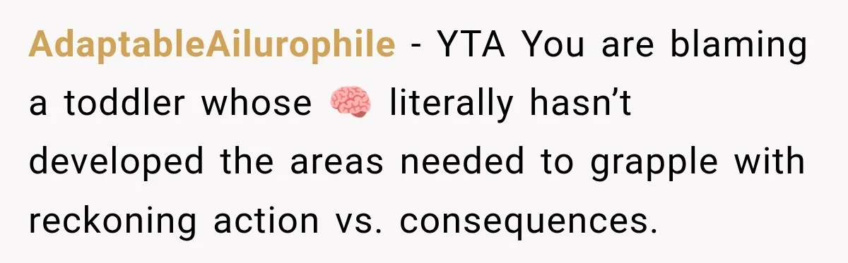 AdaptableAilurophile − YTA You are blaming a toddler whose 🧠 literally hasn’t developed the areas needed to grapple with reckoning action vs. consequences.