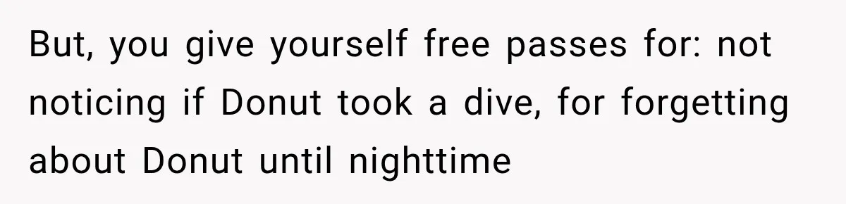 But, you give yourself free passes for: not noticing if Donut took a dive, for forgetting about Donut until nighttime