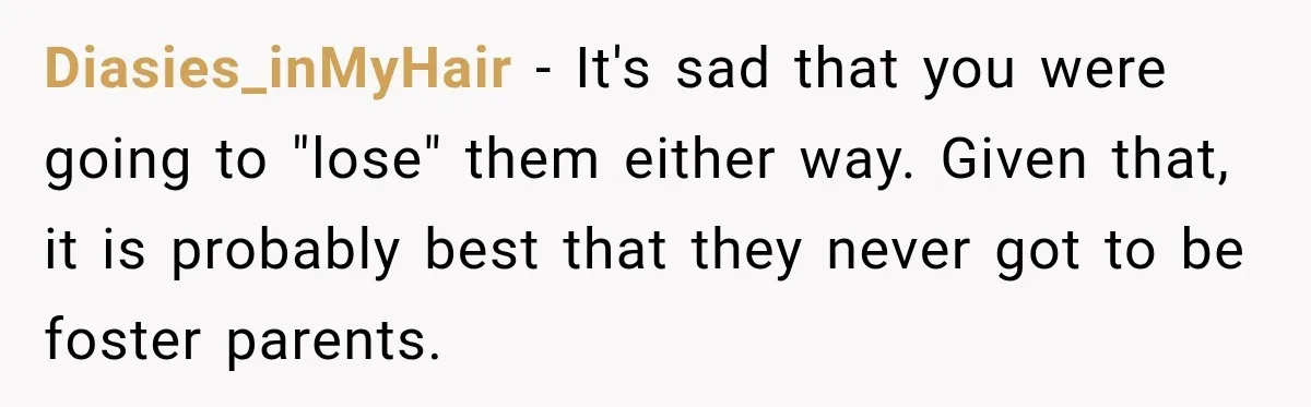Parents Blamed Their Son For Ruining Their Foster Dream, Years Later They Still Haven’t Let It Go Diasies_inMyHair − It's sad that you were going to "lose" them either way. Given that, it is probably best that they never got to be foster parents.