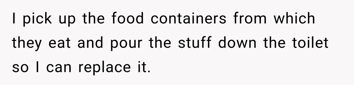 Son Calls Mom Home From Beach Trip After Finding Dogs Refusing Food And Water I pick up the food containers from which they eat and pour the stuff down the toilet so I can replace it.