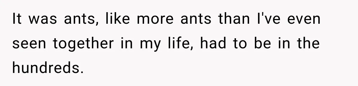 Son Calls Mom Home From Beach Trip After Finding Dogs Refusing Food And Water It was ants, like more ants than I've even seen together in my life, had to be in the hundreds.