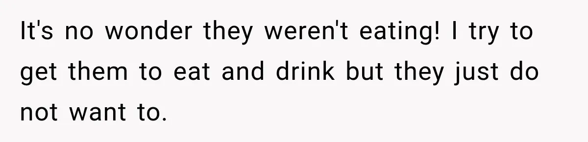 Son Calls Mom Home From Beach Trip After Finding Dogs Refusing Food And Water It's no wonder they weren't eating! I try to get them to eat and drink but they just do not want to.