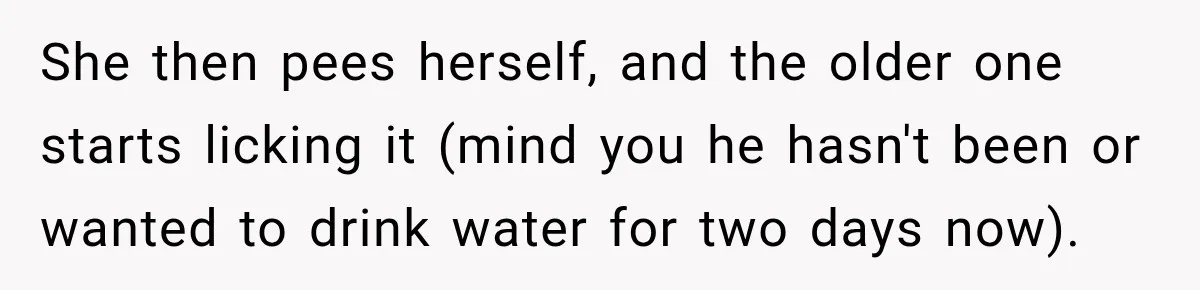 Son Calls Mom Home From Beach Trip After Finding Dogs Refusing Food And Water She then pees herself, and the older one starts licking it (mind you he hasn't been or wanted to drink water for two days now).