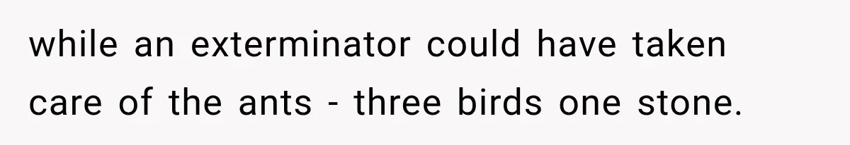 Son Calls Mom Home From Beach Trip After Finding Dogs Refusing Food And Water while an exterminator could have taken care of the ants - three birds one stone.