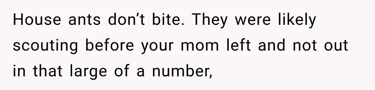 Son Calls Mom Home From Beach Trip After Finding Dogs Refusing Food And Water House ants don’t bite. They were likely scouting before your mom left and not out in that large of a number,