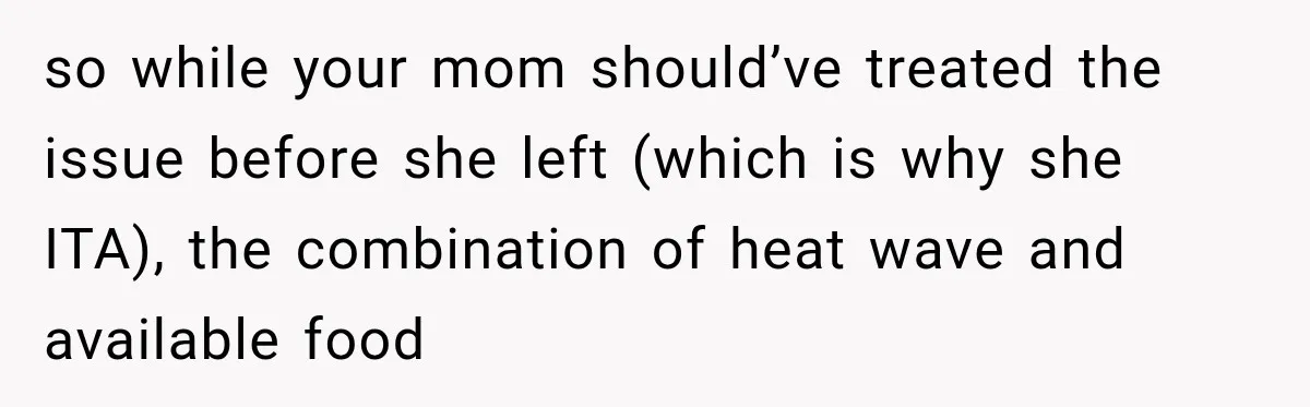 Son Calls Mom Home From Beach Trip After Finding Dogs Refusing Food And Water so while your mom should’ve treated the issue before she left (which is why she ITA), the combination of heat wave and available food