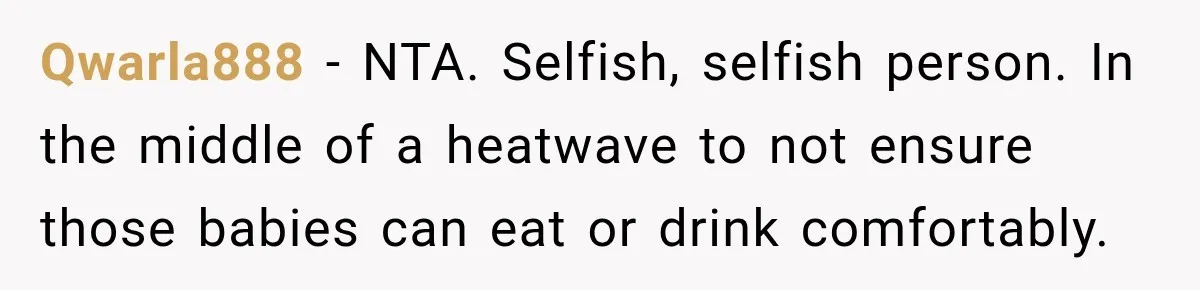 Son Calls Mom Home From Beach Trip After Finding Dogs Refusing Food And Water Qwarla888 − NTA. Selfish, selfish person. In the middle of a heatwave to not ensure those babies can eat or drink comfortably.