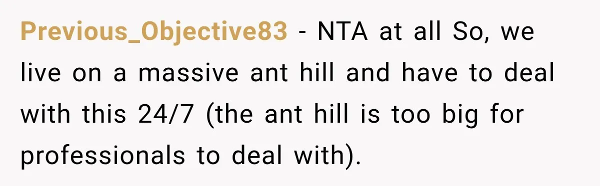 Son Calls Mom Home From Beach Trip After Finding Dogs Refusing Food And Water Previous_Objective83 − NTA at all So, we live on a massive ant hill and have to deal with this 24/7 (the ant hill is too big for professionals to deal...