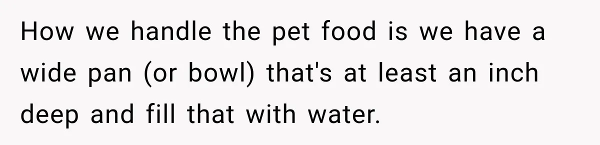 Son Calls Mom Home From Beach Trip After Finding Dogs Refusing Food And Water How we handle the pet food is we have a wide pan (or bowl) that's at least an inch deep and fill that with water.