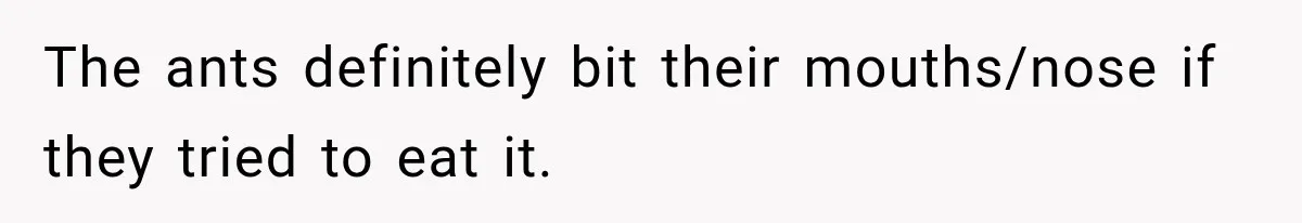 Son Calls Mom Home From Beach Trip After Finding Dogs Refusing Food And Water The ants definitely bit their mouths/nose if they tried to eat it.