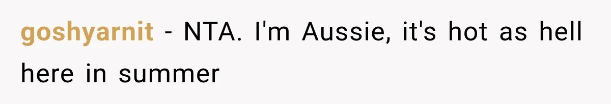 Son Calls Mom Home From Beach Trip After Finding Dogs Refusing Food And Water goshyarnit − NTA. I'm Aussie, it's hot as hell here in summer
