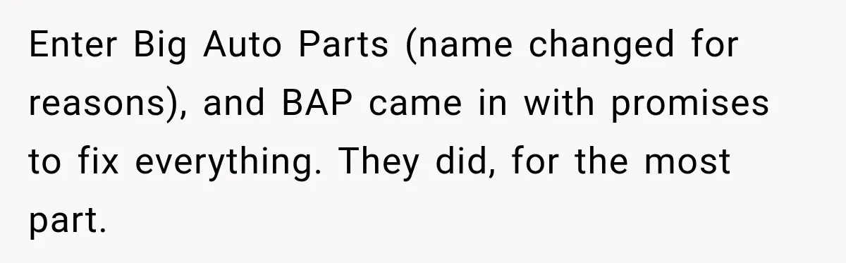 Boss Told Employee His Numbers Were Too Good, Then Lost His Best Worker Enter Big Auto Parts (name changed for reasons), and BAP came in with promises to fix everything. They did, for the most part.