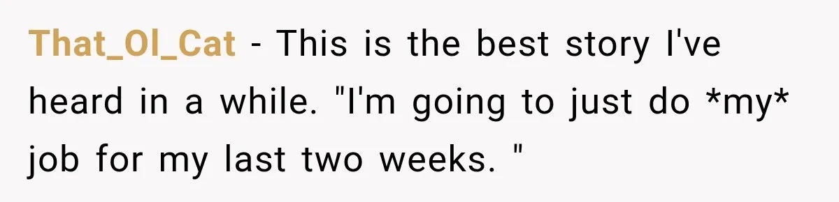 Boss Told Employee His Numbers Were Too Good, Then Lost His Best Worker That_Ol_Cat − This is the best story I've heard in a while. "I'm going to just do *my* job for my last two weeks. "