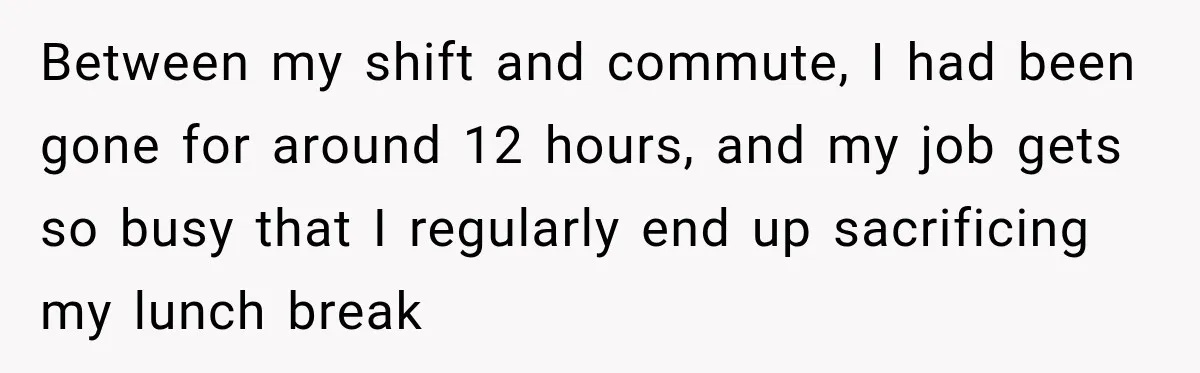 Between my shift and commute, I had been gone for around 12 hours, and my job gets so busy that I regularly end up sacrificing my lunch break