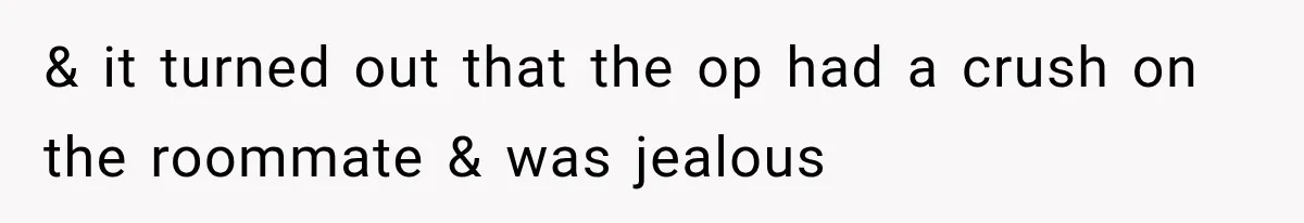 & it turned out that the op had a crush on the roommate & was jealous