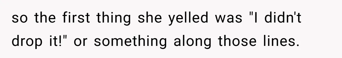 Girlfriend Shatters A Plate On The Stove, Then Explodes After He Asks Her To Be More Careful so the first thing she yelled was "I didn't drop it!" or something along those lines.