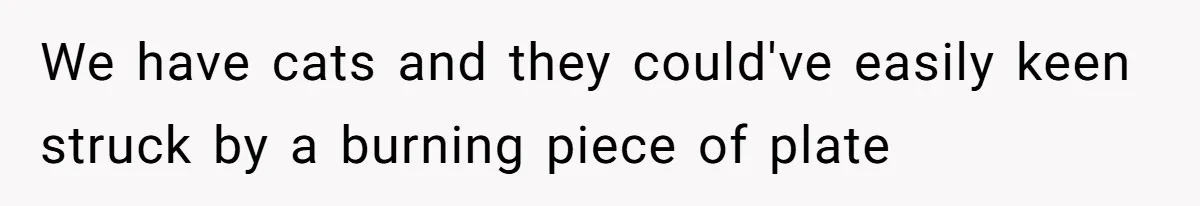 Girlfriend Shatters A Plate On The Stove, Then Explodes After He Asks Her To Be More Careful We have cats and they could've easily keen struck by a burning piece of plate