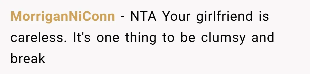 Girlfriend Shatters A Plate On The Stove, Then Explodes After He Asks Her To Be More Careful MorriganNiConn − NTA Your girlfriend is careless. It's one thing to be clumsy and break