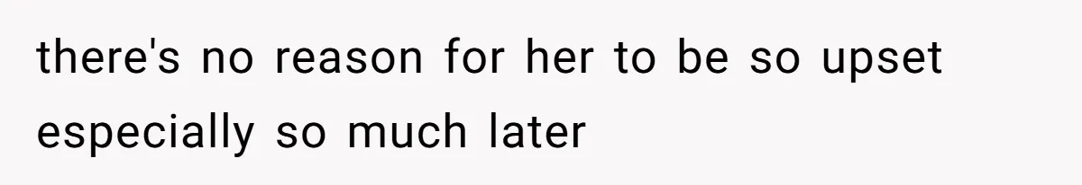 Girlfriend Shatters A Plate On The Stove, Then Explodes After He Asks Her To Be More Careful there's no reason for her to be so upset especially so much later