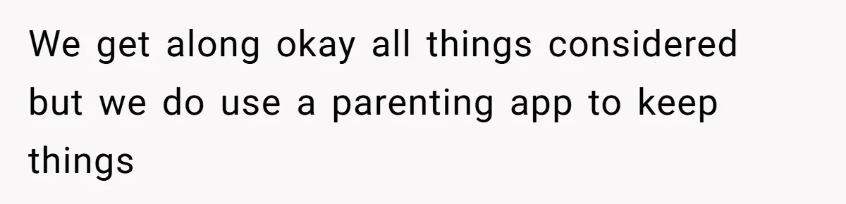 We get along okay all things considered but we do use a parenting app to keep things