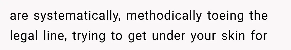 are systematically, methodically toeing the legal line, trying to get under your skin for