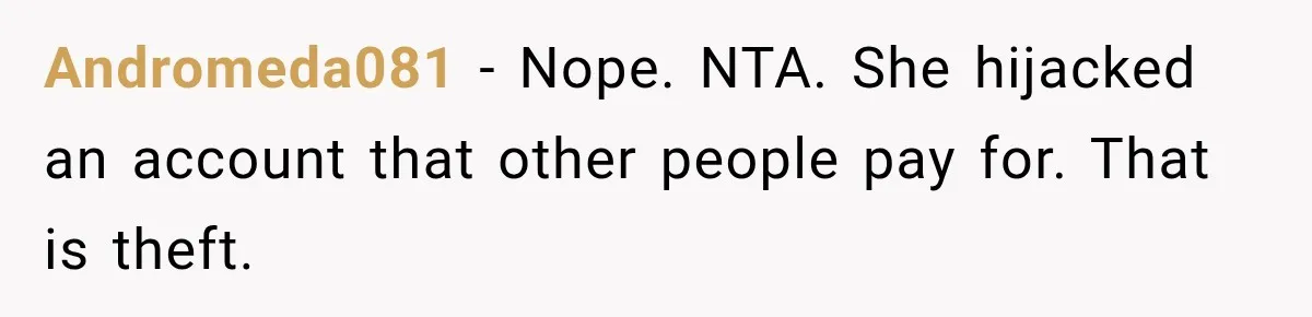 Andromeda081 − Nope. NTA. She hijacked an account that other people pay for. That is theft.