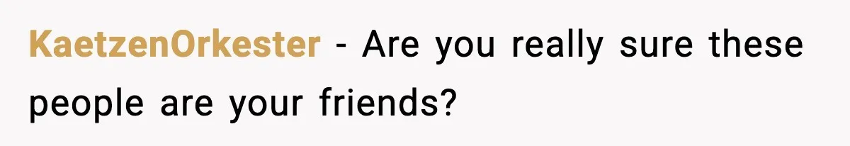 KaetzenOrkester − Are you really sure these people are your friends?