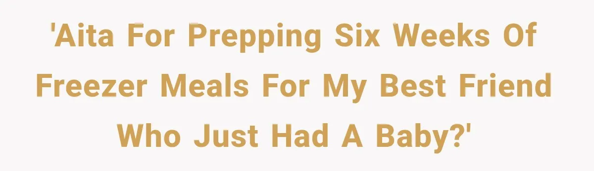 'AITA for prepping six weeks of freezer meals for my best friend who just had a baby?'