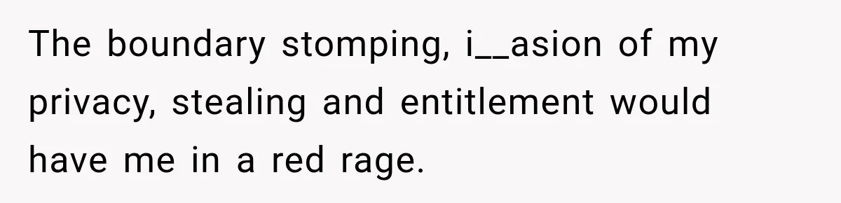 The boundary stomping, i__asion of my privacy, stealing and entitlement would have me in a red rage.