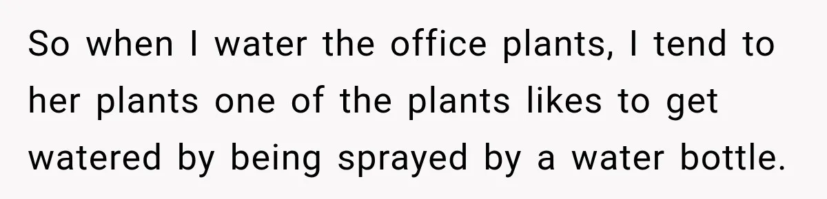 So when I water the office plants, I tend to her plants one of the plants likes to get watered by being sprayed by a water bottle.