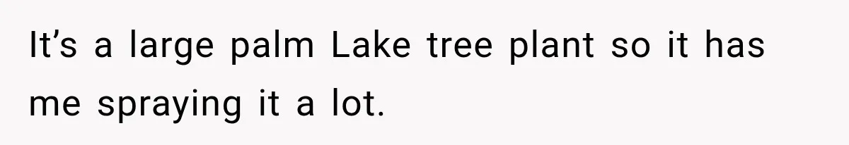 It’s a large palm Lake tree plant so it has me spraying it a lot.
