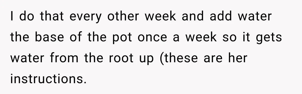 I do that every other week and add water the base of the pot once a week so it gets water from the root up (these are her instructions.