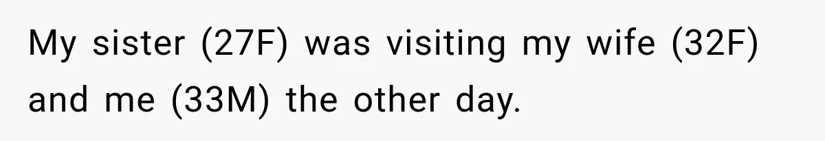 My sister (27F) was visiting my wife (32F) and me (33M) the other day.