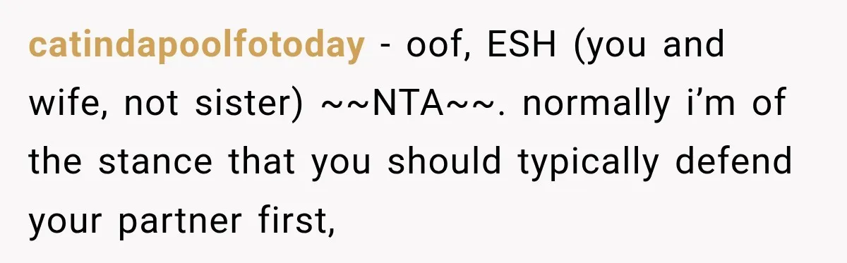 catindapoolfotoday − oof, ESH (you and wife, not sister) ~~NTA~~. normally i’m of the stance that you should typically defend your partner first,